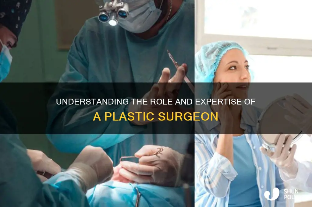 what is plastic surgeon