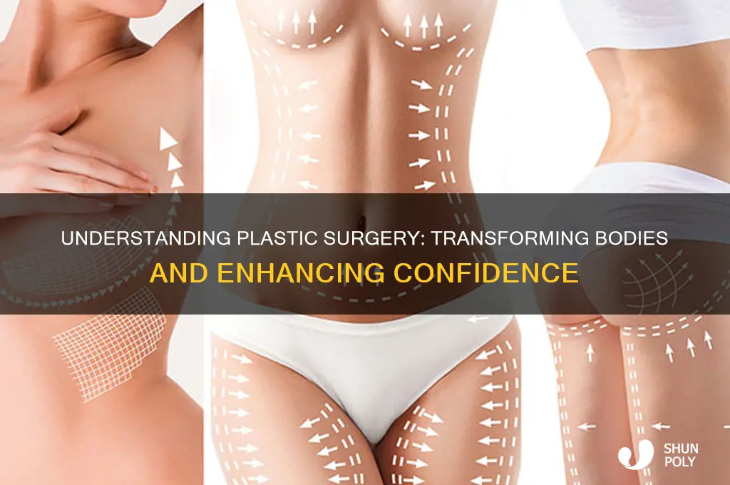 what is plastic surgery body