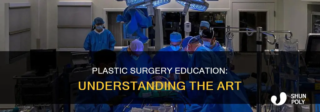 what is plastic surgury under education