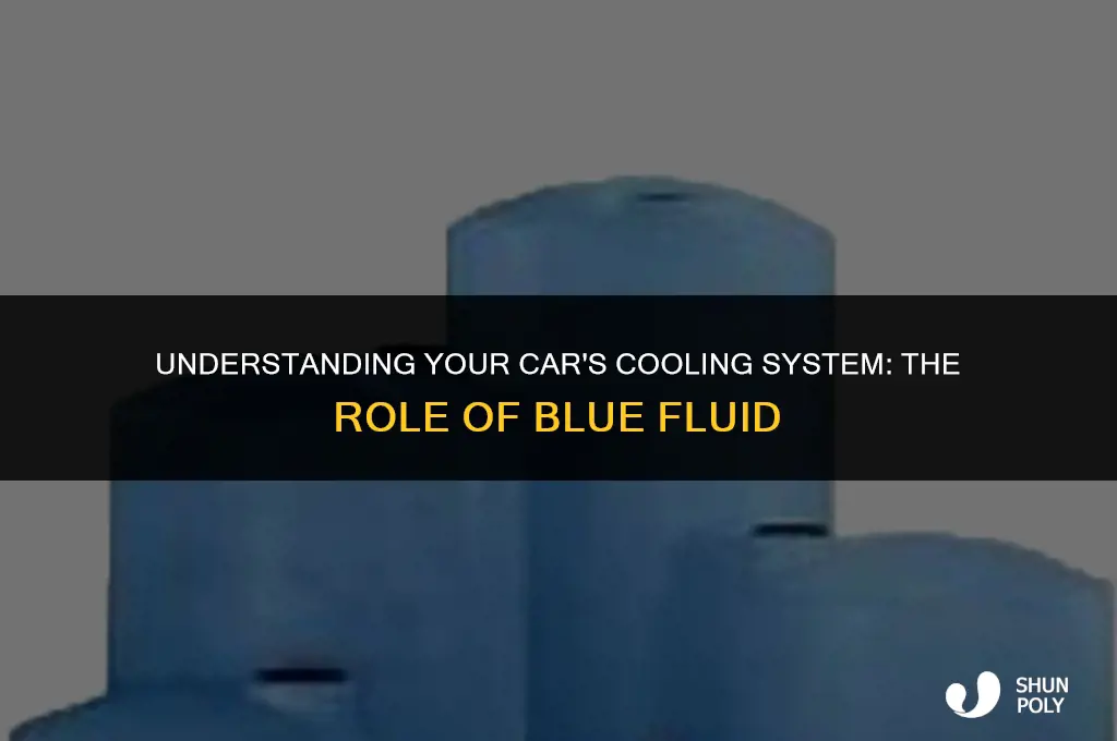 what is plastic tank in car with blue fluid