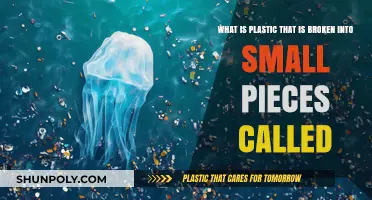 Understanding Microplastics: The Invisible Pollutants Impacting Our Environment