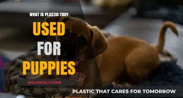 Puppy Potty Training: The Essential Guide to Using Plastic Trays