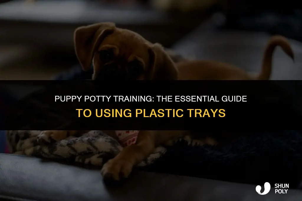 what is plastic tray used for puppies
