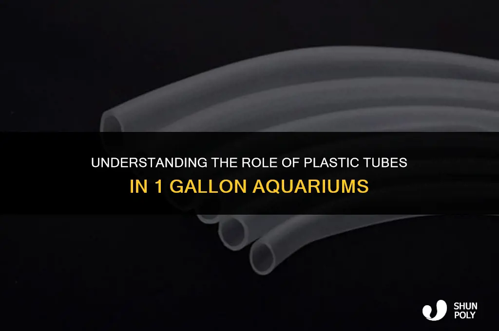 what is plastic tube in middle of 1 gallon aquarium
