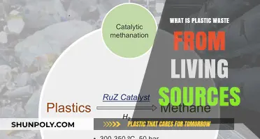 Living Plastic: The Impact of Organic Waste
