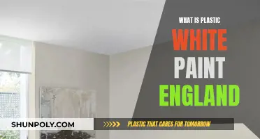 The White Plastic Paint of England: What's the Deal?
