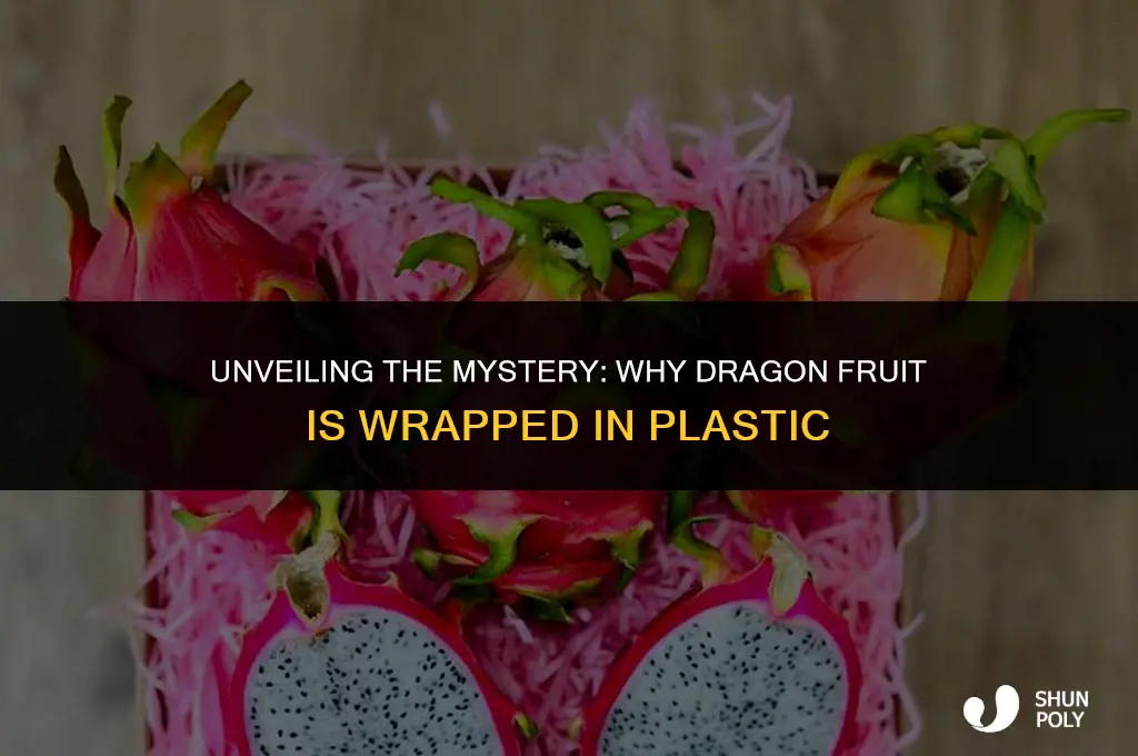 what is plastic wrap around dragon fruit