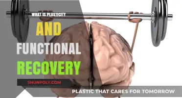 Brain Plasticity: Understanding Functional Recovery