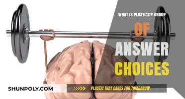 How Plasticity Changes Our Brain and Behavior