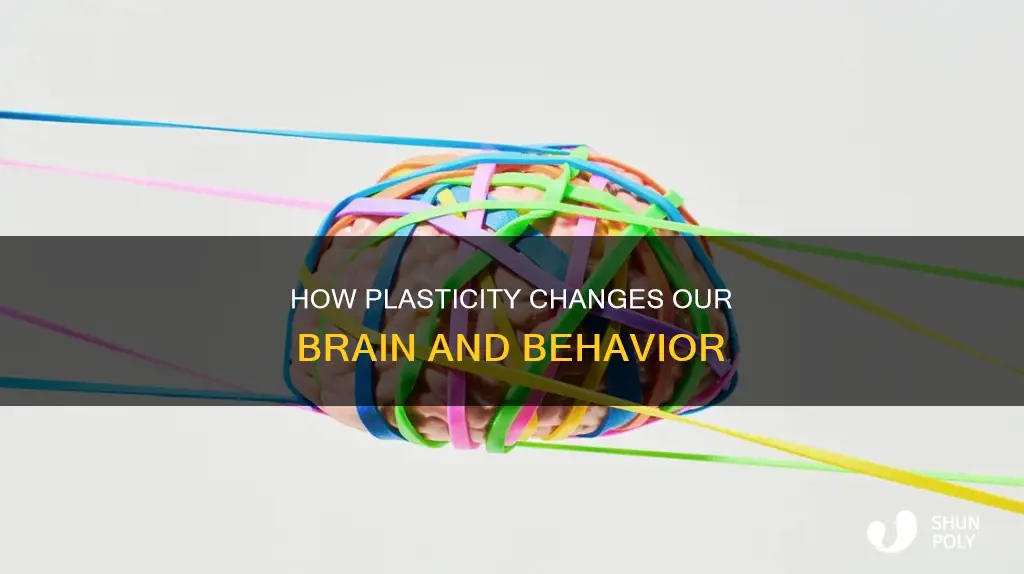 what is plasticity group of answer choices