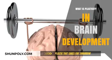 Brain Plasticity: Unlocking the Secrets of Brain Development