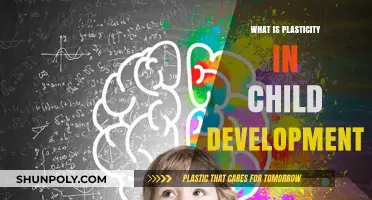 Brain Plasticity: Understanding Child Development