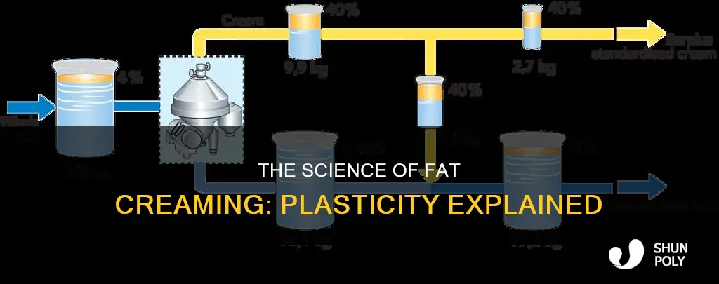 what is plasticity in fat creaming ability