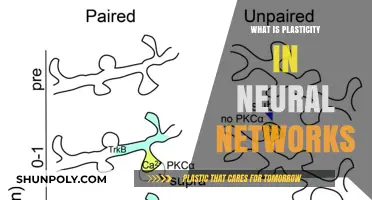 Neural Network Plasticity: Understanding Brain-Inspired Flexibility