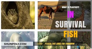 Survival Fish: Understanding Plasticity and Adaptability