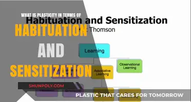 Exploring Plasticity: Habituation and Sensitization in Human Behavior