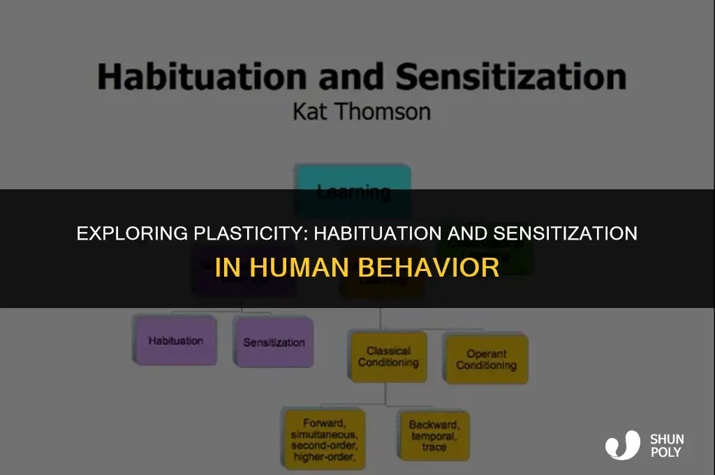 what is plasticity in terms of habituation and sensitization
