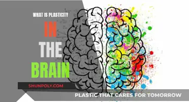 Brain Plasticity: Understanding Neuroplasticity and its Power