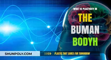Human Body Plasticity: Understanding Our Adaptive Abilities