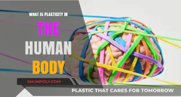Human Body Plasticity: The Power to Adapt and Change