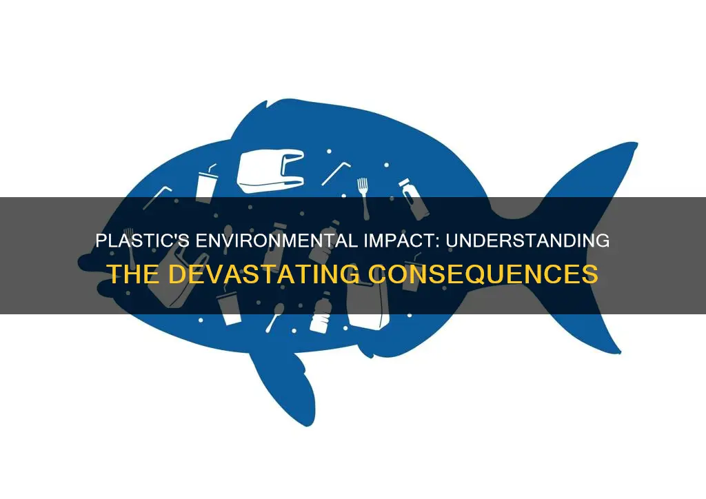 what is plastics impact on the environment