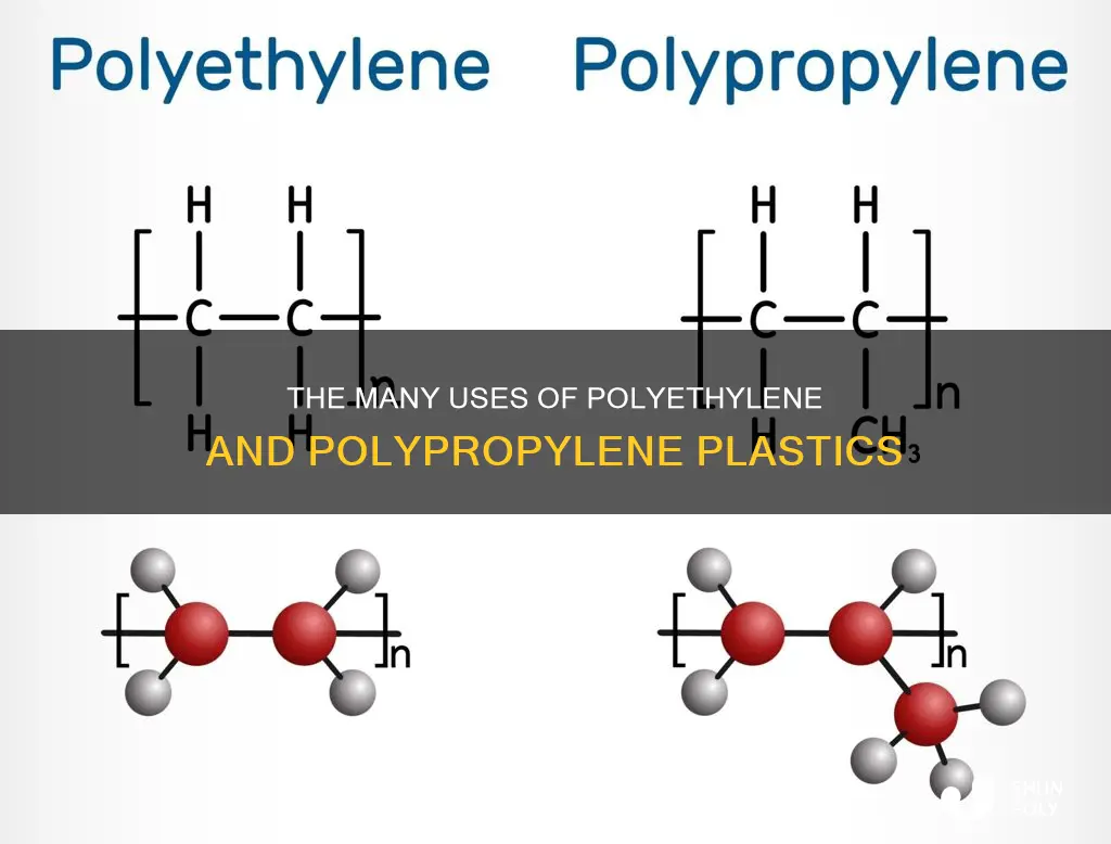 what is polyethylene and polypropylene plastics