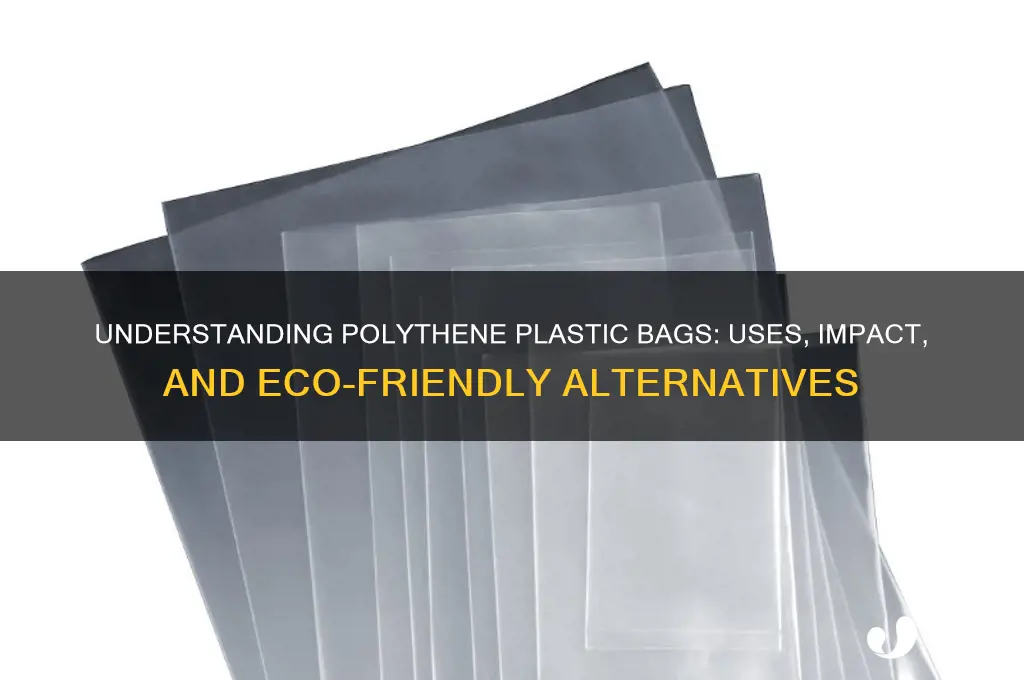 what is polythene plastic bags
