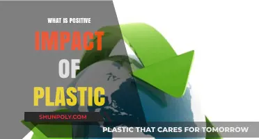 Plastic's Positive Side: An Eco-Friendly Future