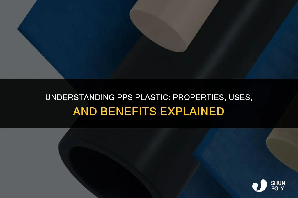what is pps plastic