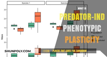 Phenotypic Plasticity: Predators' Influence on Prey Traits