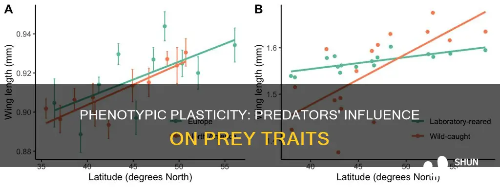 what is predator-induced phenotypic plasticity