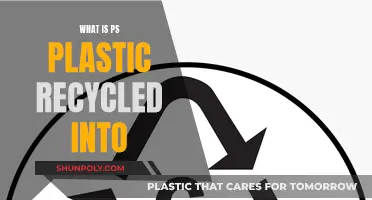 PS Plastic's Second Life: Exploring Recycled Possibilities