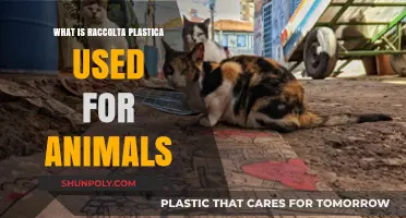 Exploring the Uses of Raccolta Plastica for Animal Welfare