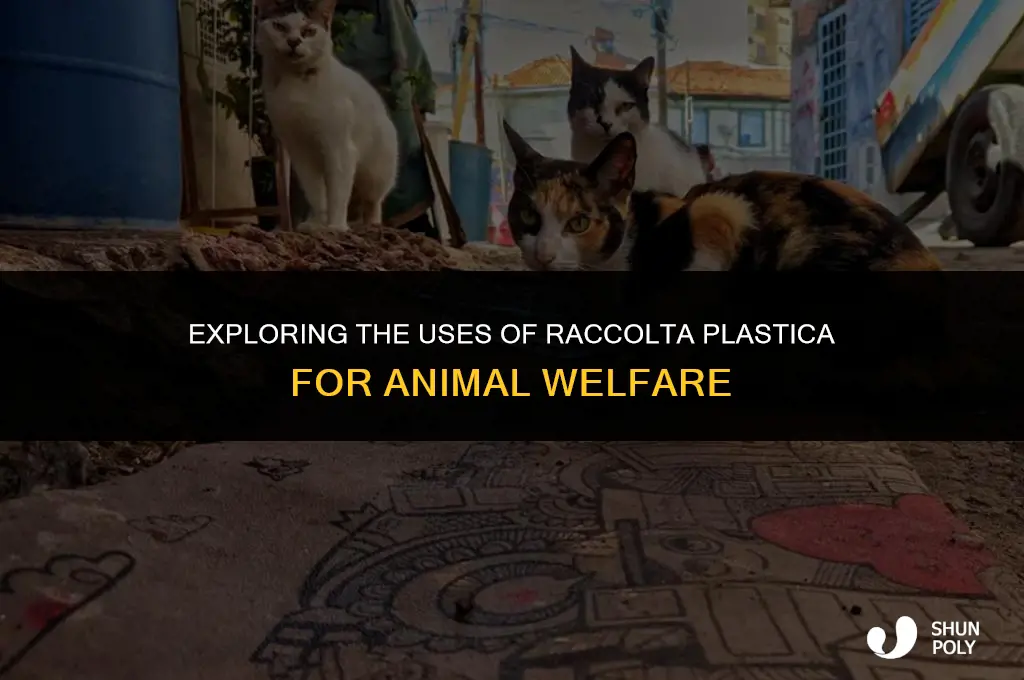 what is raccolta plastica used for animals