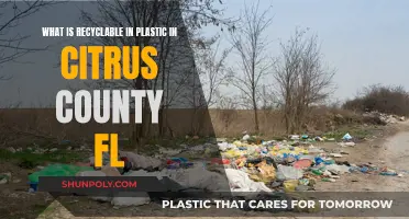 Recycling in Citrus County: Plastics Accepted