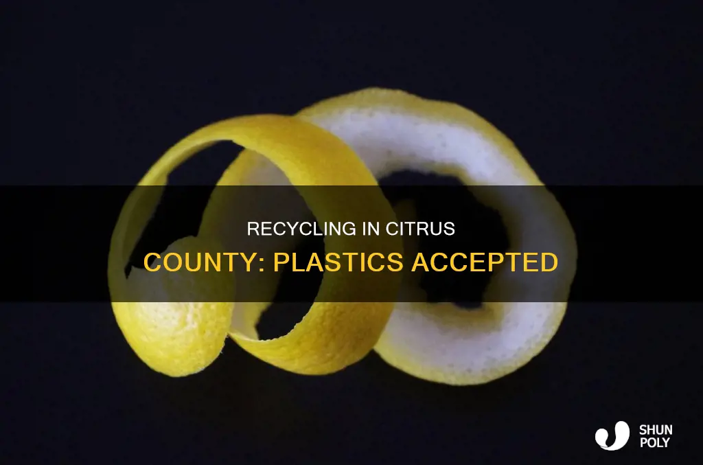 what is recyclable in plastic in citrus county fl