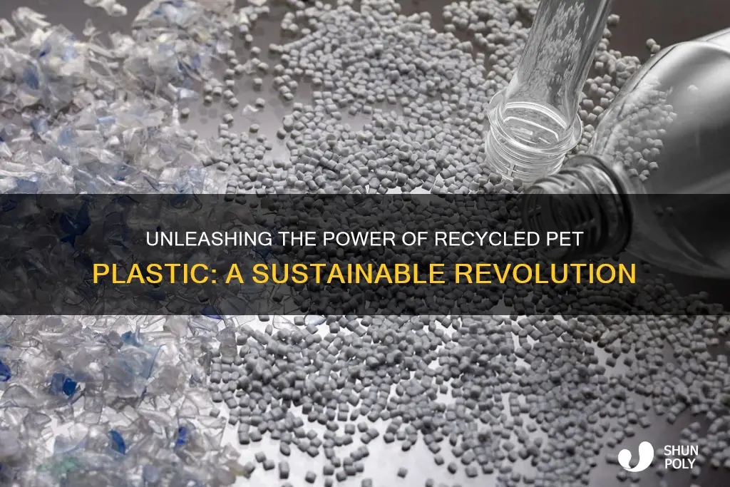 what is recycled pet plastic