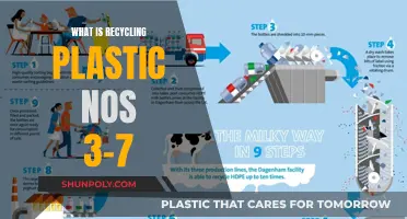 Understanding the Recycling Process for Diverse Plastics