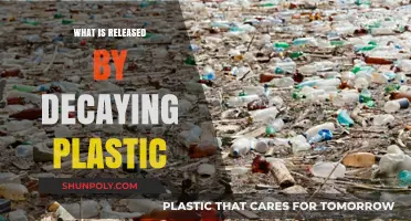 The Toxic Truth: Plastic Decay and Its Effects