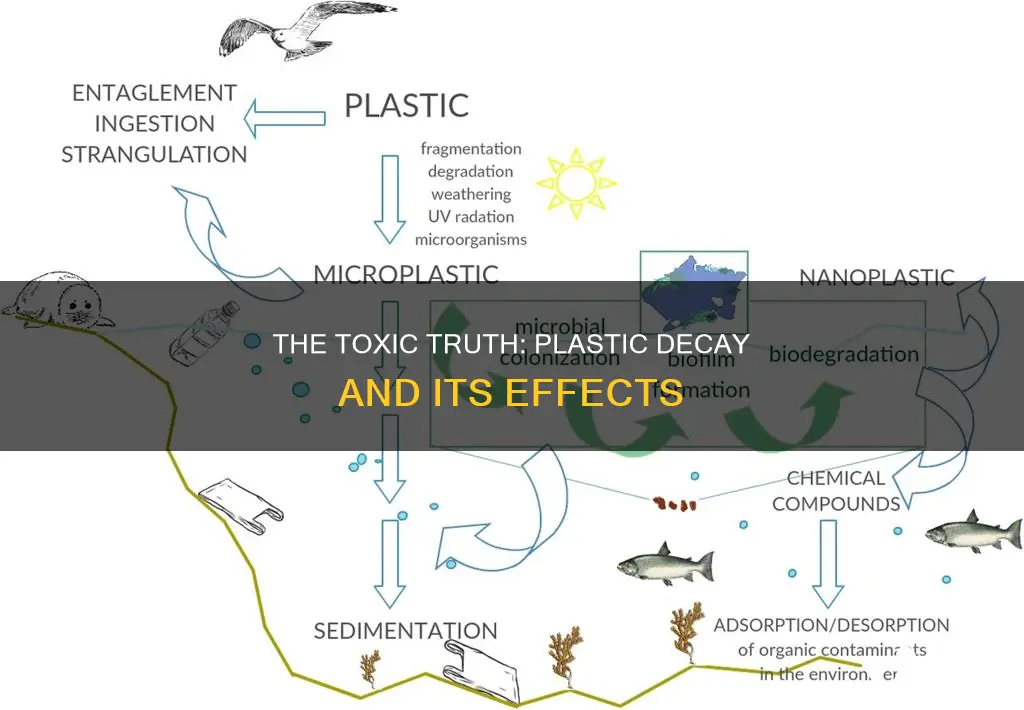 what is released by decaying plastic