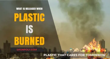 The Toxic Truth About Burning Plastics