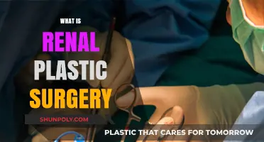 Understanding Renal Plastic Surgery: Procedures, Benefits, and Recovery Explained