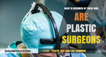 Plastic Surgeons' Essential Skills, Qualifications, and Ethical Responsibilities Explained