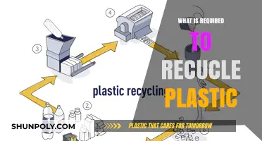 The Complex Process of Plastic Recycling
