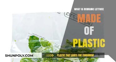 Is Romaine Lettuce Made of Plastic? Debunking the Myth