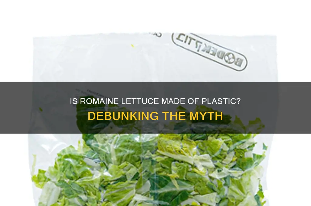 what is romaine lettuce made of plastic