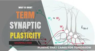 Unraveling Synapses: Short-Term Plasticity Explained