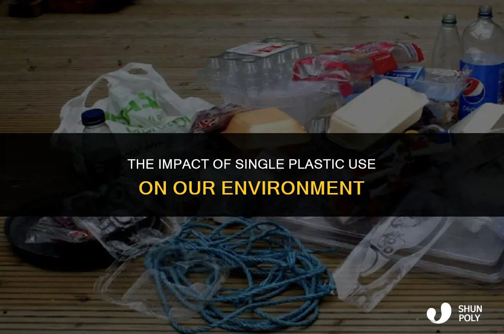 what is single plastic use