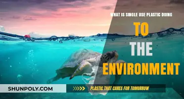 The Devastating Impact of Single-Use Plastics on Our Environment