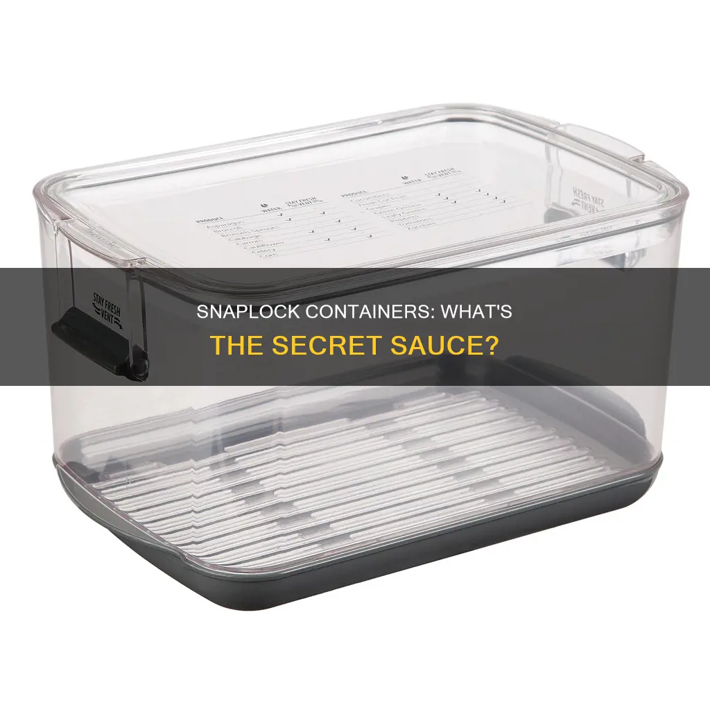what is snaplock by progressive plastic container made of